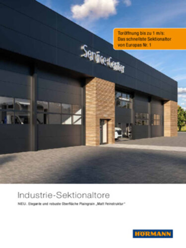 Industrie Sektionaltore