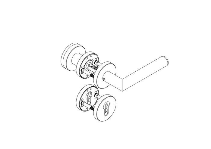 Rosettenbeschlag, D-310