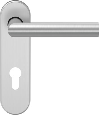  Drücker D-310 mit Ovalrosette, Edelstahl 