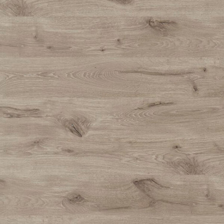 Struktur Nordeiche (quer)