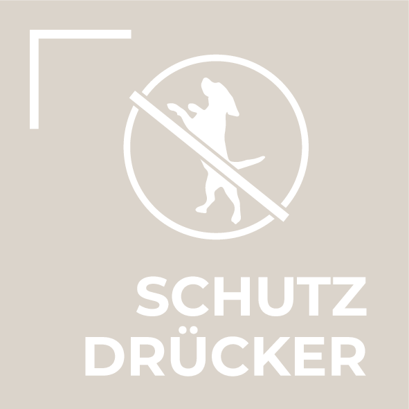 Zubehör, Ausstattung und Design