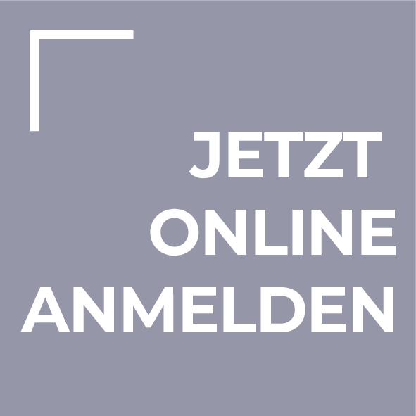 steinau Akademie