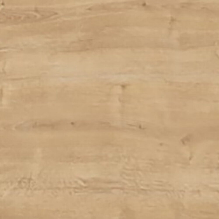 Struktur Wildeiche (quer)